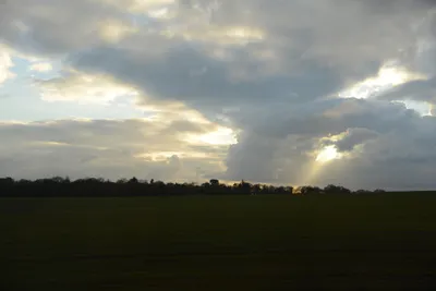 DSC_1354 (Large).JPG